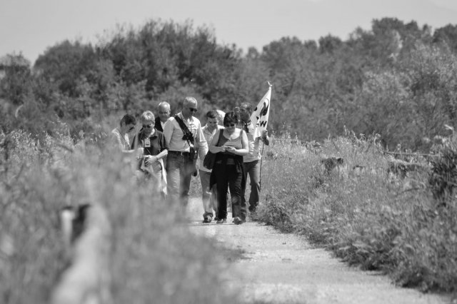 wwf e sentinelle verso il mare